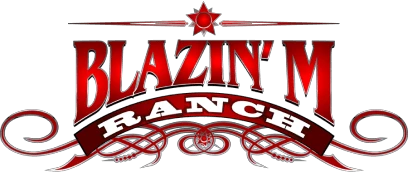 20% Reduction At Blazin' M Ranch Dinner Show