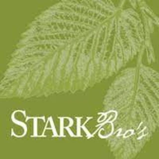 An Additional 10% Discount At Stansoutbeauty.com