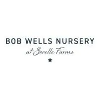 bobwellsnursery.com