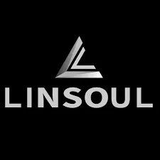 5% Reduction At Linsoul Audio