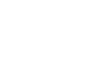 newbloodstore.com