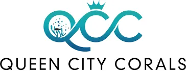 queencitycorals.com