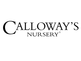 Birding Just Low To $19.99 At Calloway's Nursery