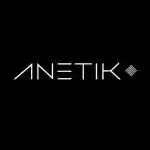 anetik.com