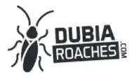 dubiaroaches.com