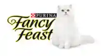 fancyfeast.com