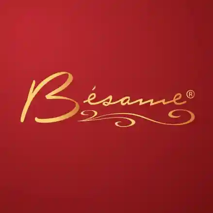 besamecosmetics.com