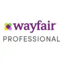 Wayfair Professional Sale