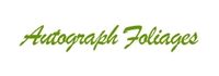 autographfoliages.com